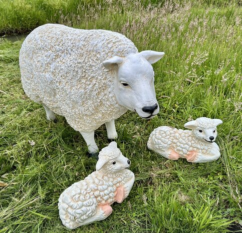 Texels Schaap Staand - met 2 lammetjes  