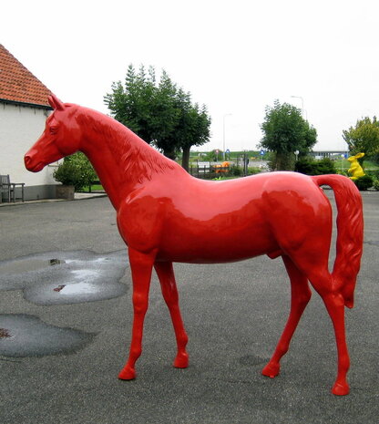 paard rood-hoogglans 