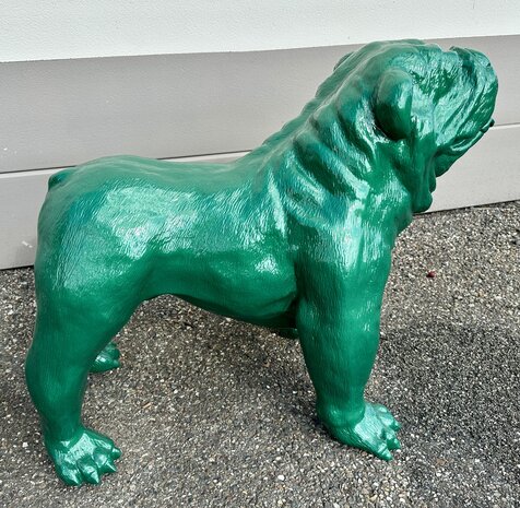 engels bulldog 420196-rolex groen 