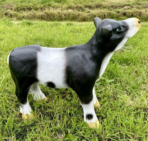 Koe kalf beeld "Bouke" zwartbont