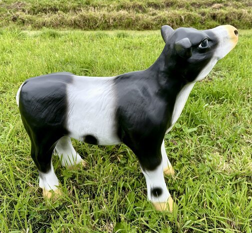 Koe kalf beeld "Bouke" zwartbont