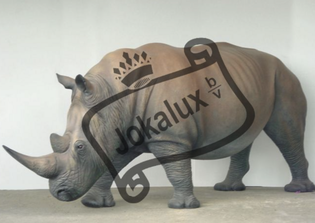 neushoorn life size