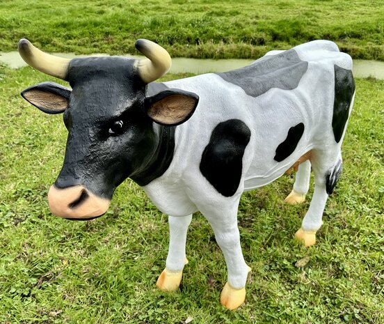 koe grietje zwartbont 