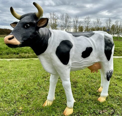 koe grietje zwartbont 