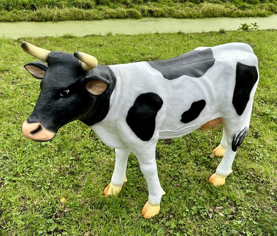 koe grietje zwartbont 