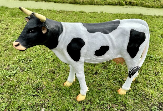 koe grietje zwartbont 