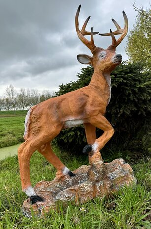 hert op rots polyester beeld jokalux moordrecht 