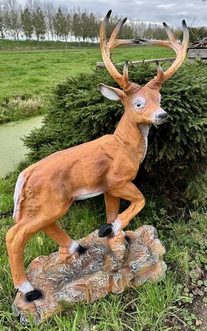 hert op rots polyester beeld jokalux moordrecht 