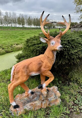 hert op rots polyester beeld jokalux moordrecht 