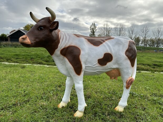 Koe "Grietje" rood bont - 140cm 