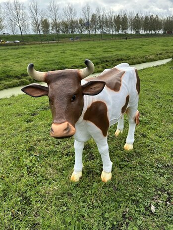 Koe "Grietje" rood bont - 140cm 