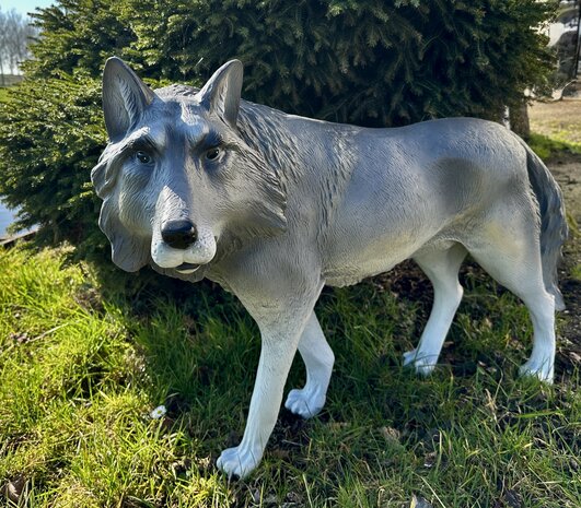 wolf staand polyester beeld