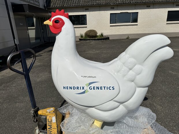 Kip-reclame-XXL-420140