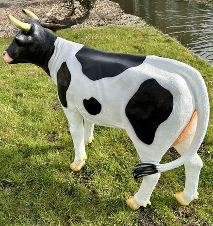 koe grietje zwartbont 