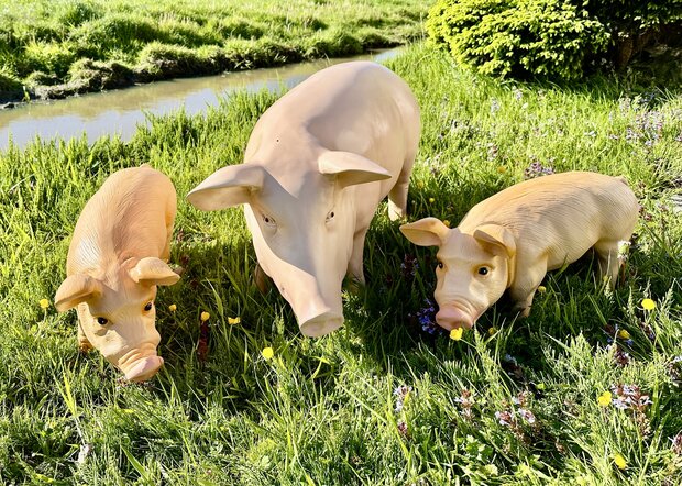 Varken  zeug met twee biggen 