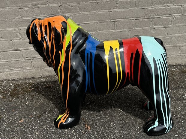 Engels Bulldog  Bobbi zwart dripping 