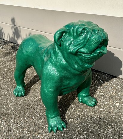 engels bulldog rolex groen
