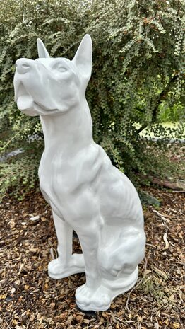 Duitse (Deense )dog kunsthars wit  95cm