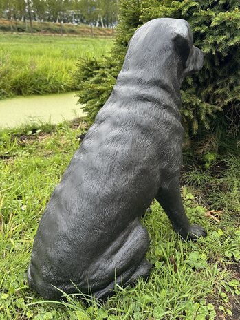 Labrador hond beeld zittend zwart