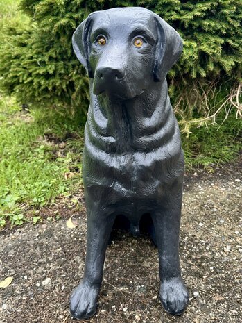 Labrador hond beeld zittend zwart