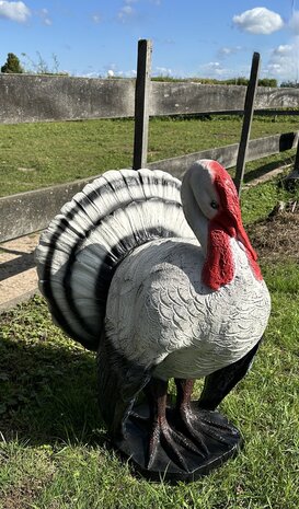 Kalkoen beeld levens groot polyester ,boerderij dier&nbsp;