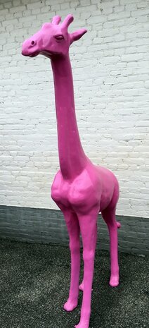 giraffe fuchsia 