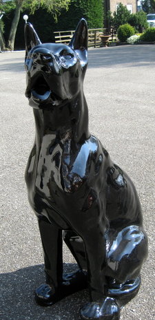 duits-deens-dog - beeld 
