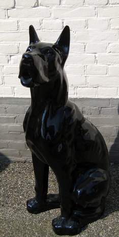 duits-deens-dog - beeld 