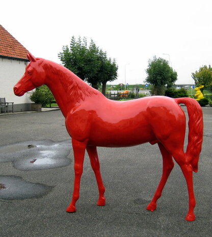 paard rood 