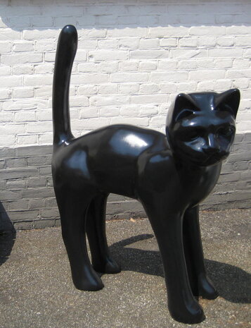 Mega kat - zwart