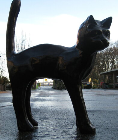 Mega kat - zwart
