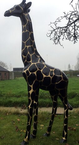 Giraffe 205cm -kunst beeld- golddigger 