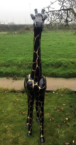 Giraffe 205cm -kunst beeld- golddigger 