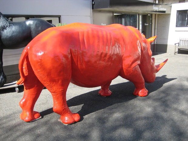 neushoorn rhino