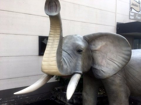olifant polyester beeld  life size 320x220 cm 