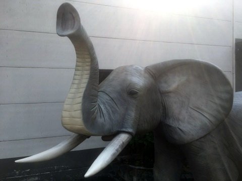 olifant life size 320x220 cm 