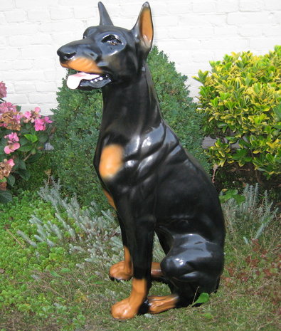 dobermann hond beeld zittend 