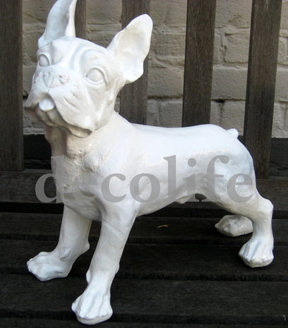 Franse Bulldog wit polyester beeld 