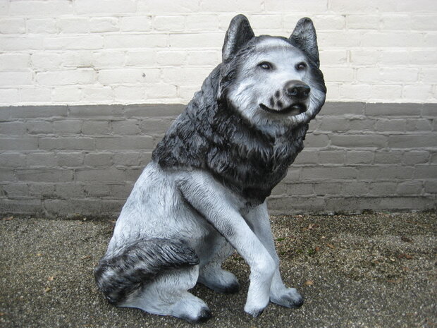 husky poolhond polyester 