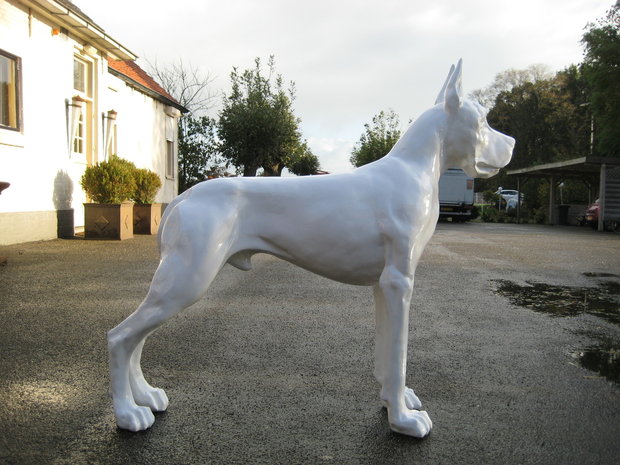 duitse Deense Dog polystone  wit hoogglans 