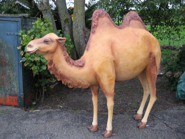 beeld kameel polyester