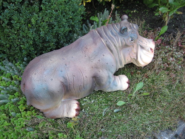 Nijlpaard Hippo Beeld Polyester 65cm