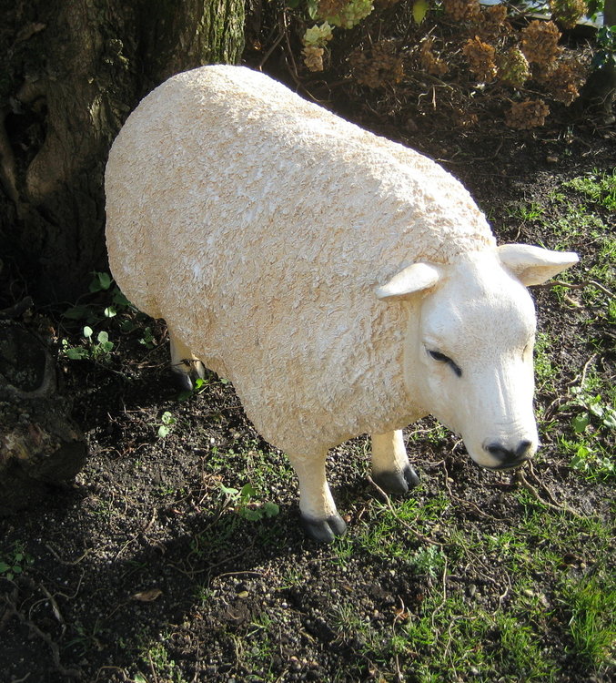 Texels Schaap Staand - levensgroot - wit