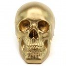 Skull - Goud-Medium