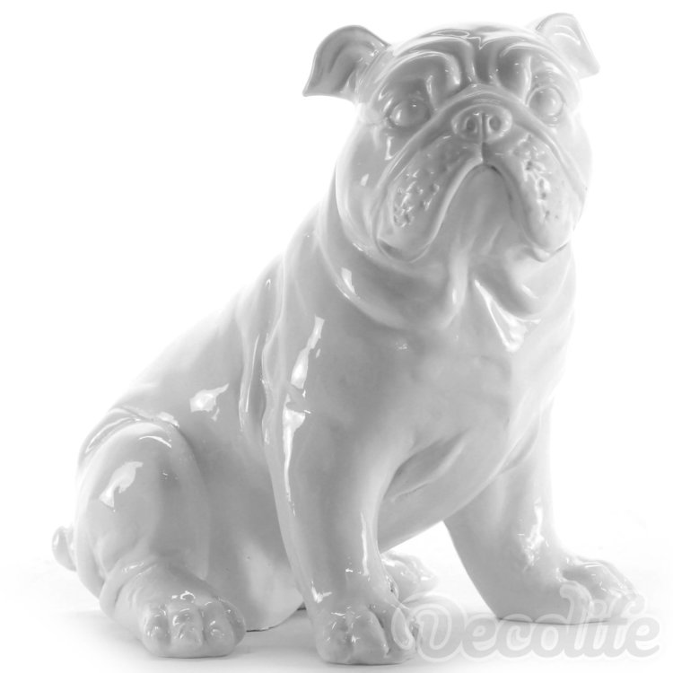 Engelse Bulldog zittend - wit-hond
