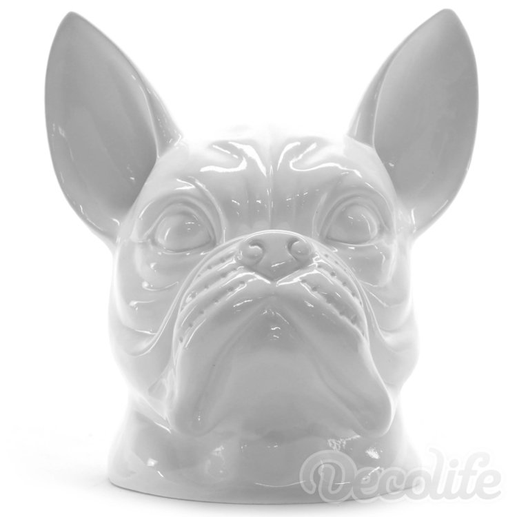 Franse bulldog kop - wit-hond