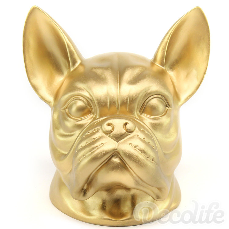 Franse bulldog kop - goud-hond