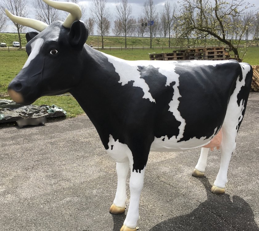 koe Holsteiner Friesian koe Feia life size