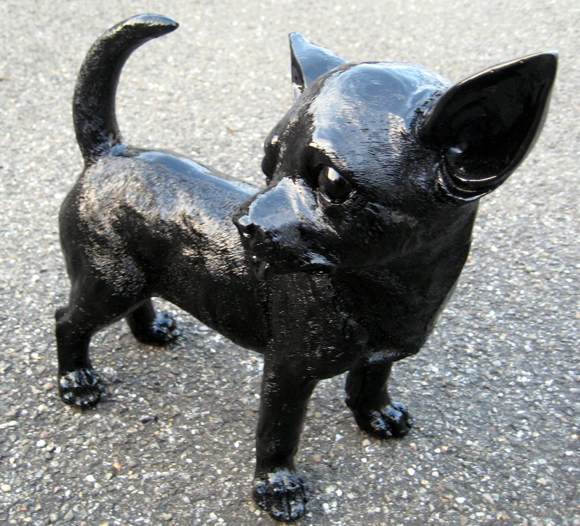 Chihuahua - zwart hoogglans - 30cm