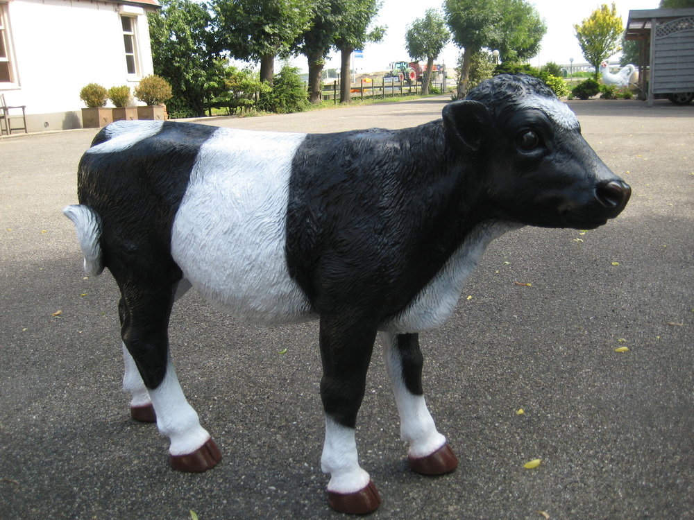Koe kalf Bertha 1  zwartbont 105cm